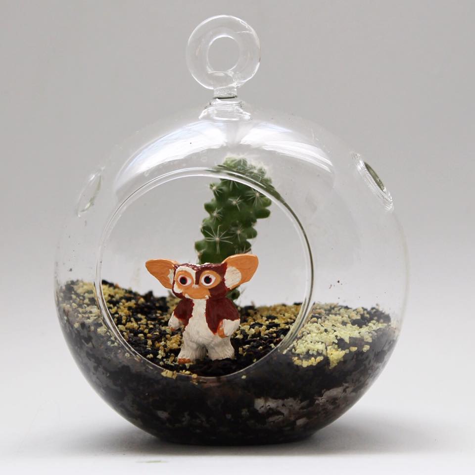 12299326_546608218841926_6030039740775241587_n