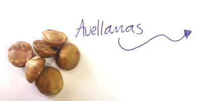 avellanas