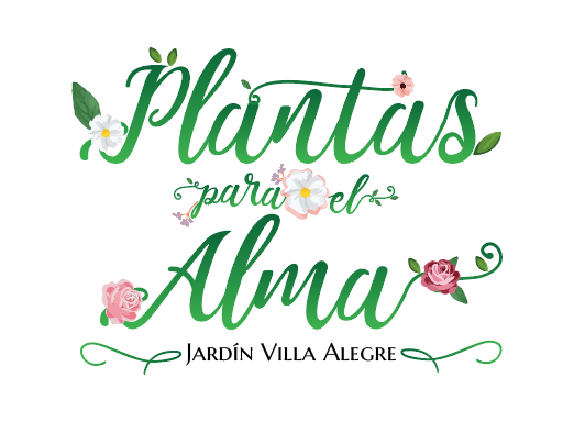 plantas-para-el-alma